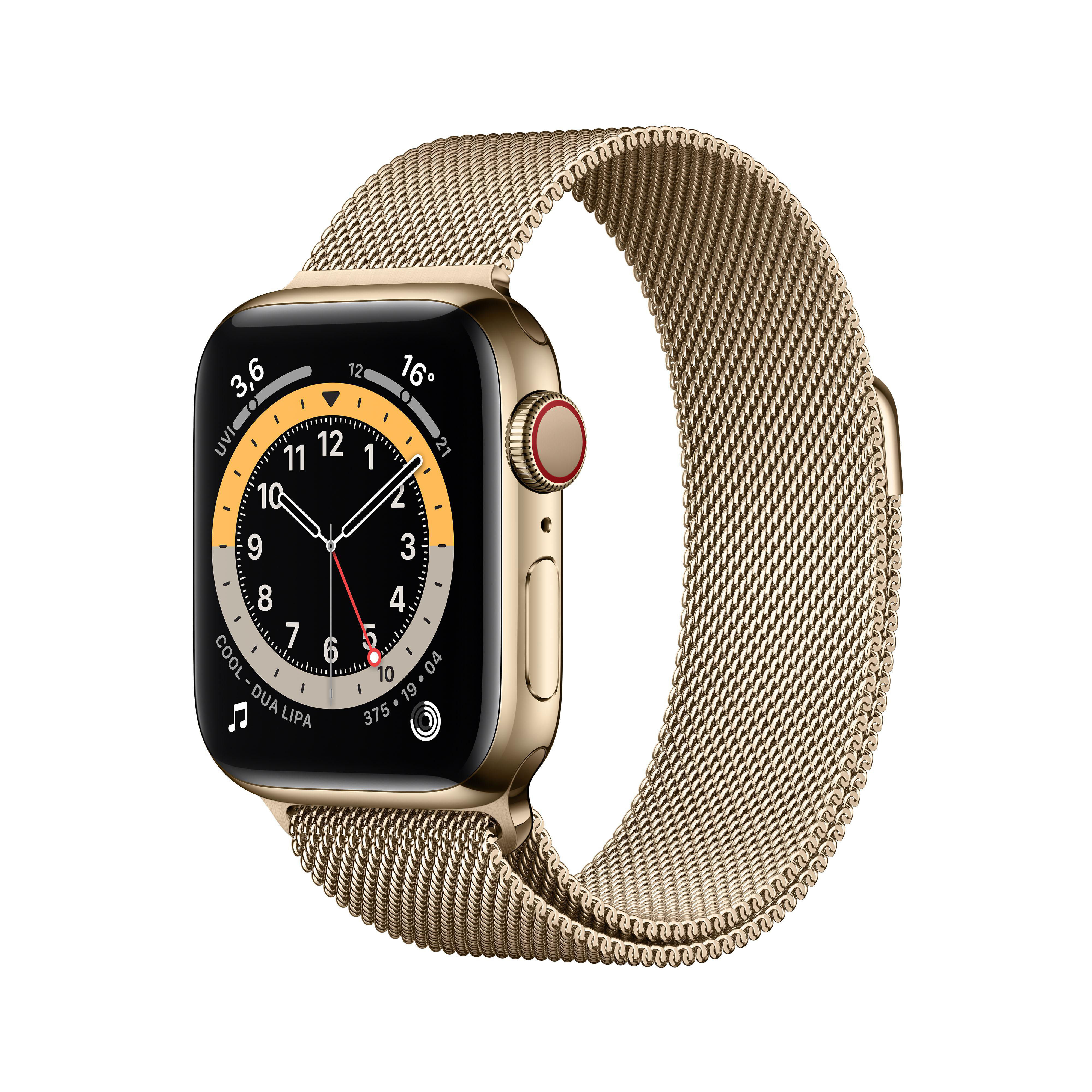 + Gold, Gold 40mm Cellular) Edelstahl Watch (GPS Gehäuse: Series 6 Armband: APPLE mm, 180 Edelstahl, - Smartwatch 130