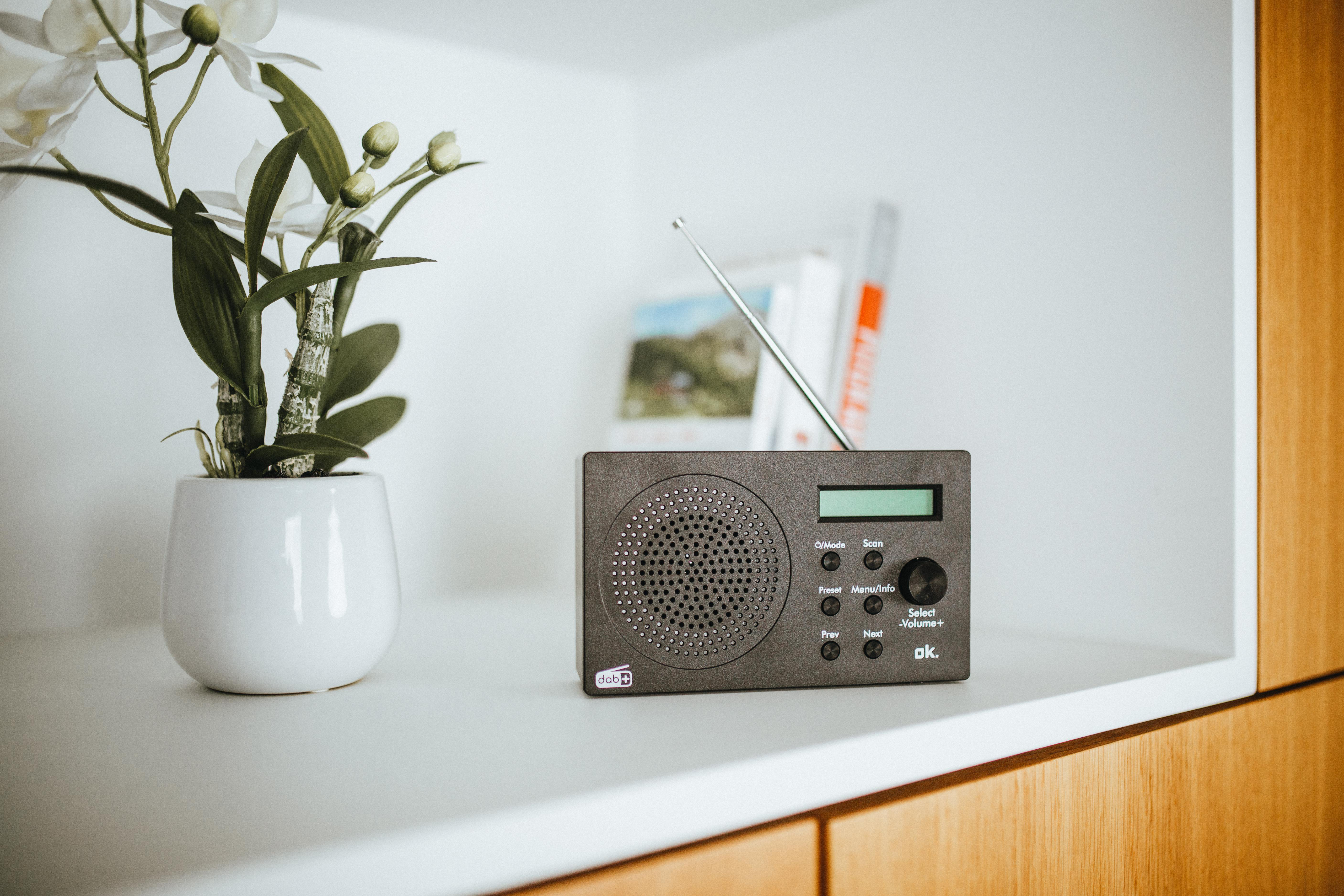 Ein graues Radio mit einer Pflanze und Büchern im Hintergrund. Weißes Regal.
