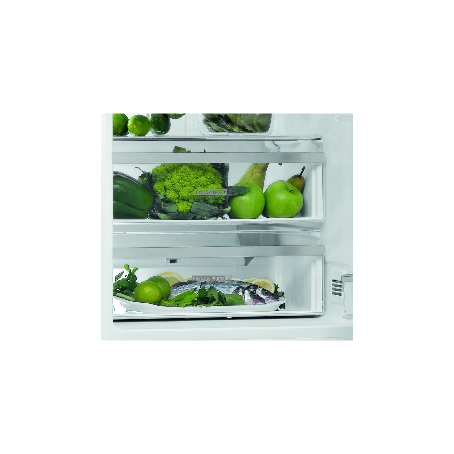 Un refrigerador con dos cajones, uno con verduras frescas y otro con limas y pescado.