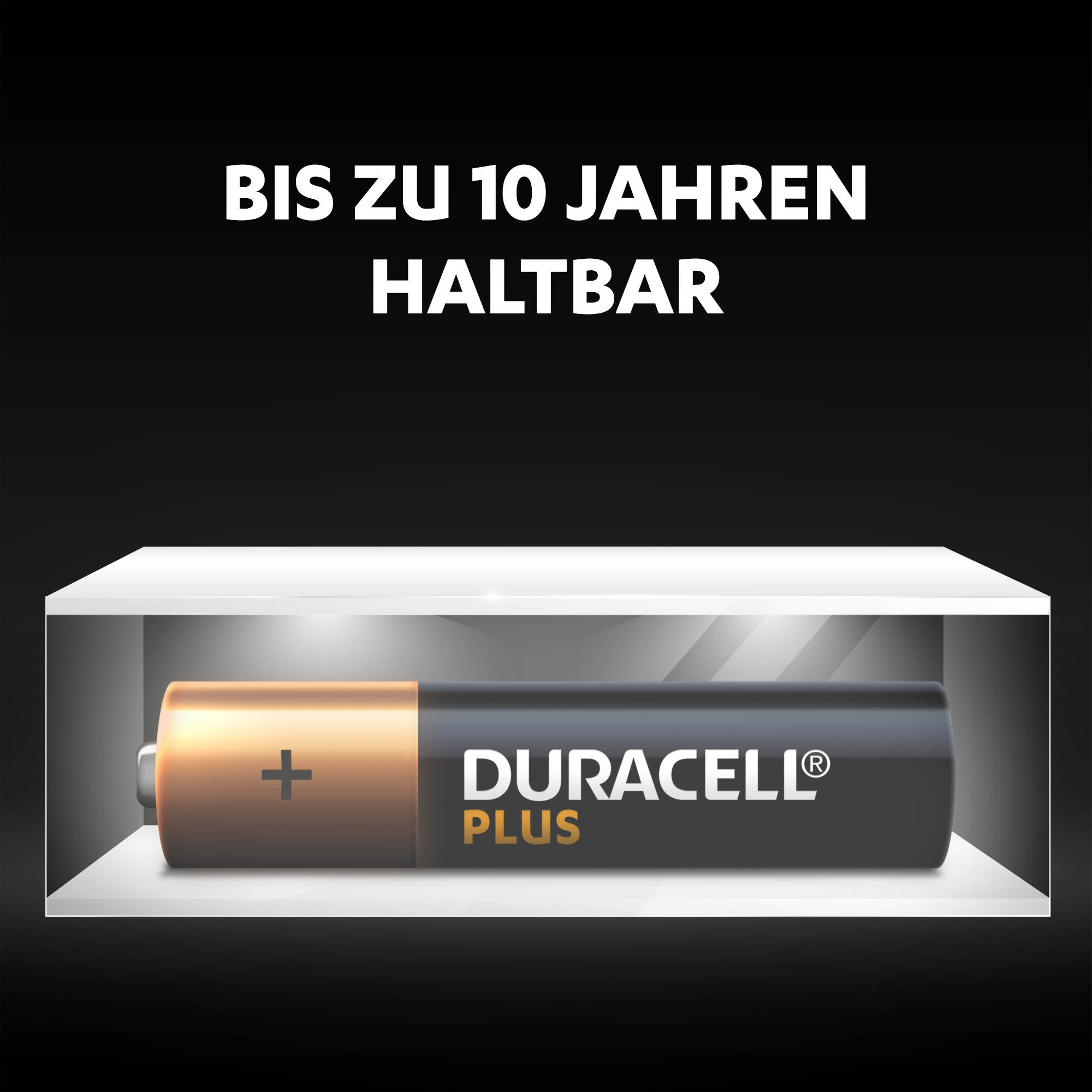 Duracell Plus Batterie in einer durchsichtigen Vitrine, Text 'DURACELL PLUS'.