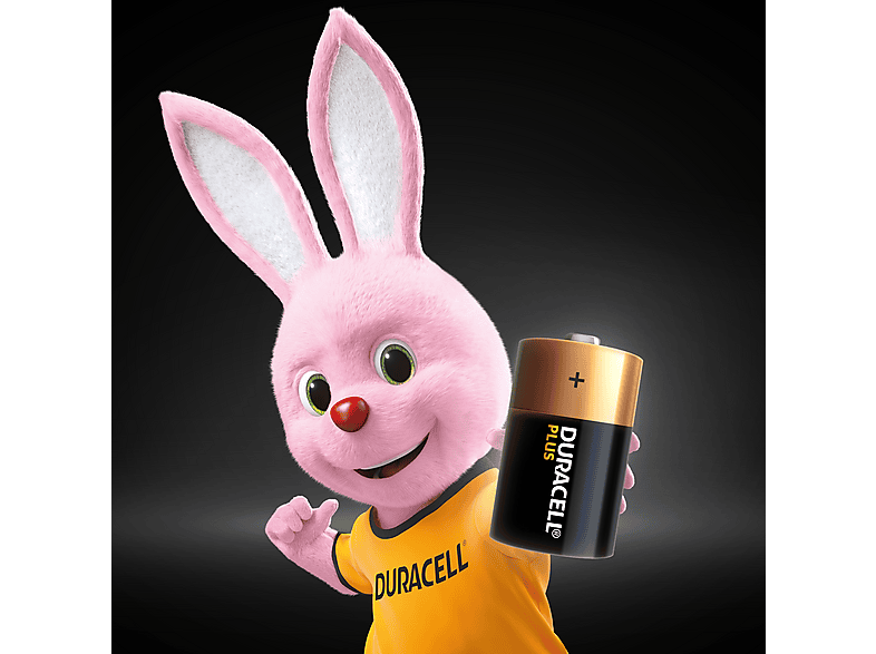 Duracell D Plus Batterie, 2er Pack — Foto 4 von 5
