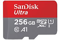 SANDISK Carte mémoire microSDXC Ultra 256 GB (A1/UHS-I) (00186541)