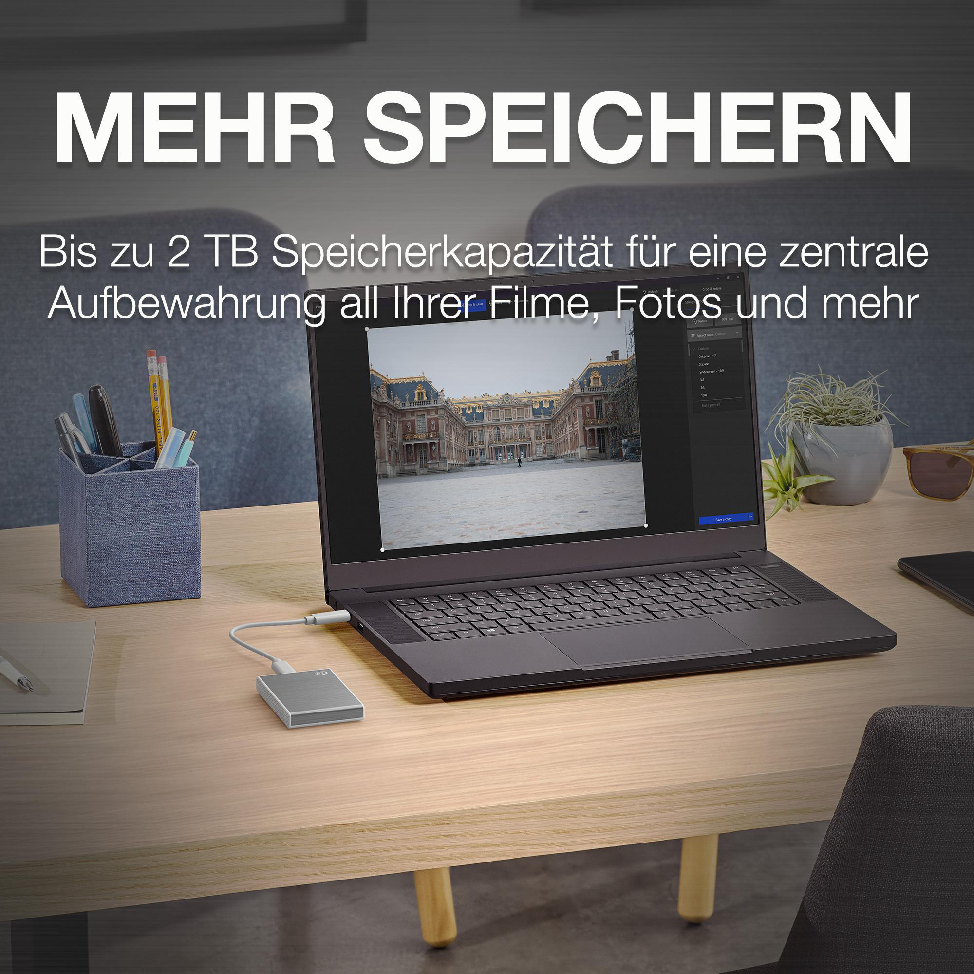 SEAGATE STKG500400 ONE TOUCH SSD, bis zu 1.030 MB/s, Festplatte, 1 TB SSD, 2,5 Zoll, extern, Silver