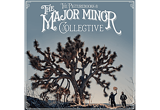 The Picturebooks - The Major Minor Collective (High Quality) (180 gram Edition) (Vinyl LP + CD)