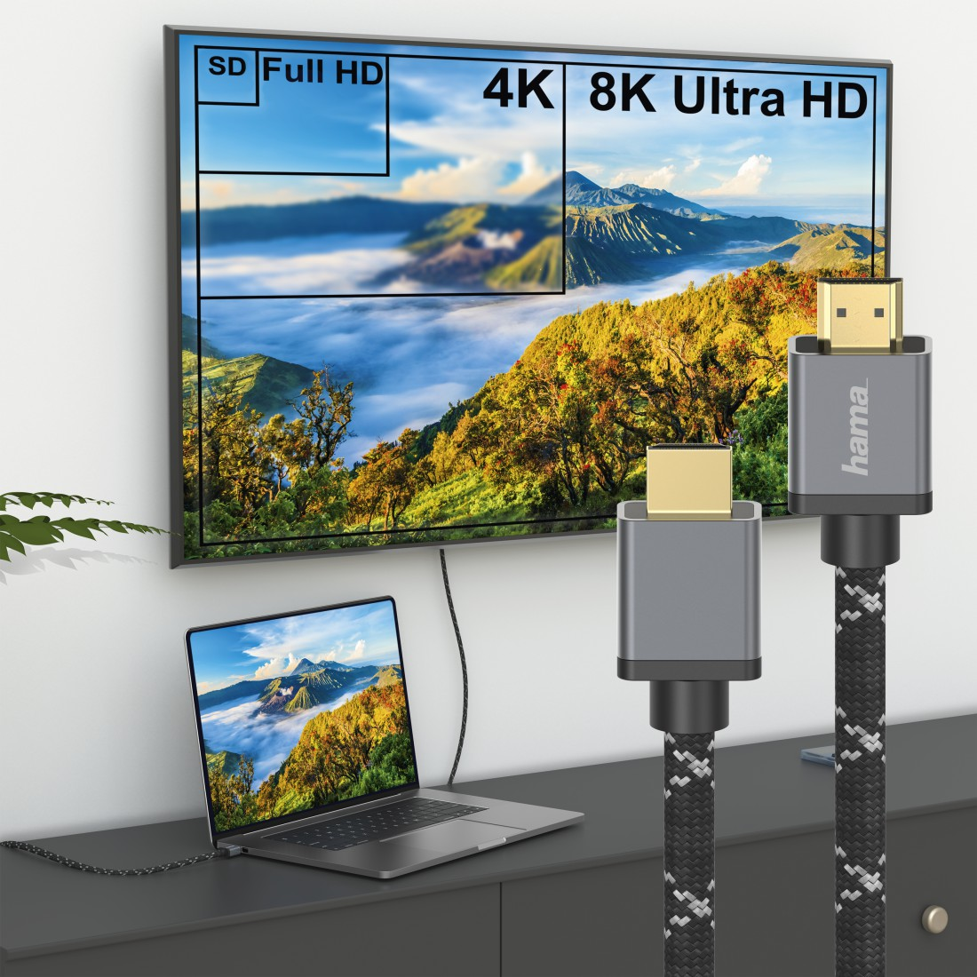 Fernseher mit Laptop und HDMI-Kabeln. Anzeige zeigt verschiedene Bildschirmgrößen.