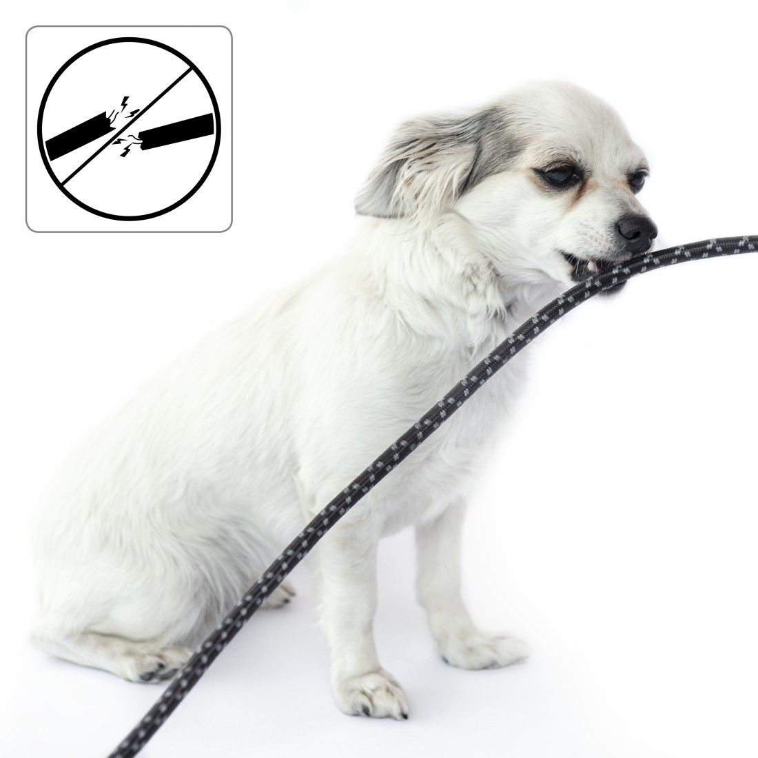 Ein weißer Hund, der auf einem schwarz-grauen Kabel kaut, mit einem Nicht-Kauen-Symbol.