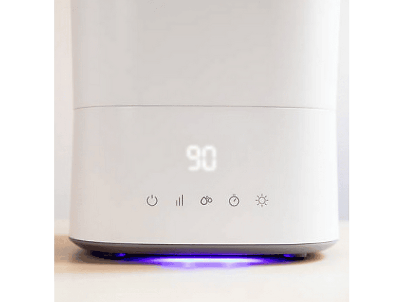 Vista 2
