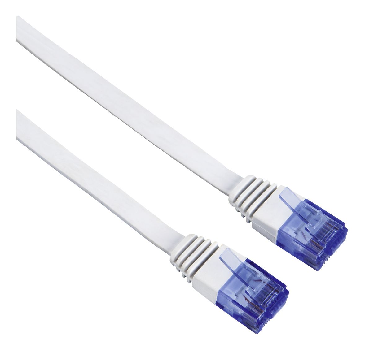 Due cavi Ethernet bianchi con connettori blu su sfondo nero. I cavi sono angolati, suggerendo la connettività.