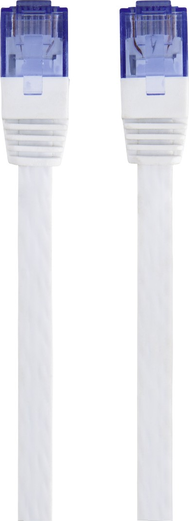 Due cavi di rete bianchi con connettori blu, su sfondo bianco. I cavi sono in posizione verticale.