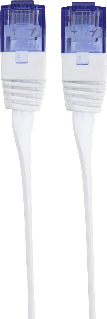 Due cavi di rete bianchi con connettori blu. I cavi sono verticali e centrati. Sfondo bianco.