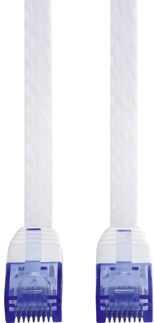 Due cavi di rete bianchi con connettori blu. I cavi sono verticali su sfondo bianco.