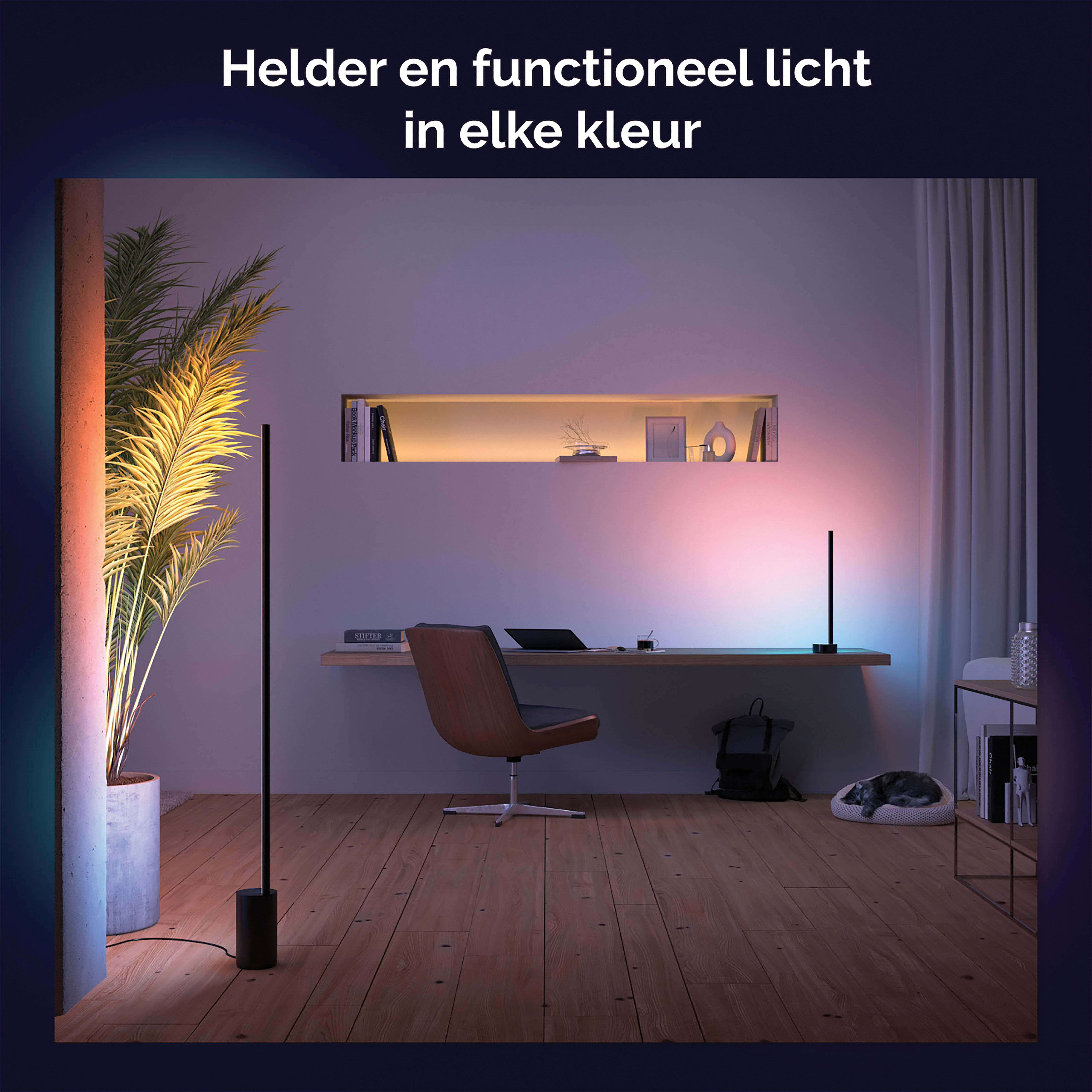 Modern room with plant, desk, lights. Two vertical lights, desk lamp. Colorful lighting.  White walls.