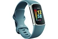 FITBIT Charge 5 - Fitness Tracker (Blu grigio/platino)