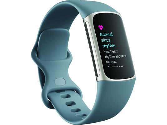 FITBIT Charge 5 - Fitness-Tracker (Graublau/Platin)