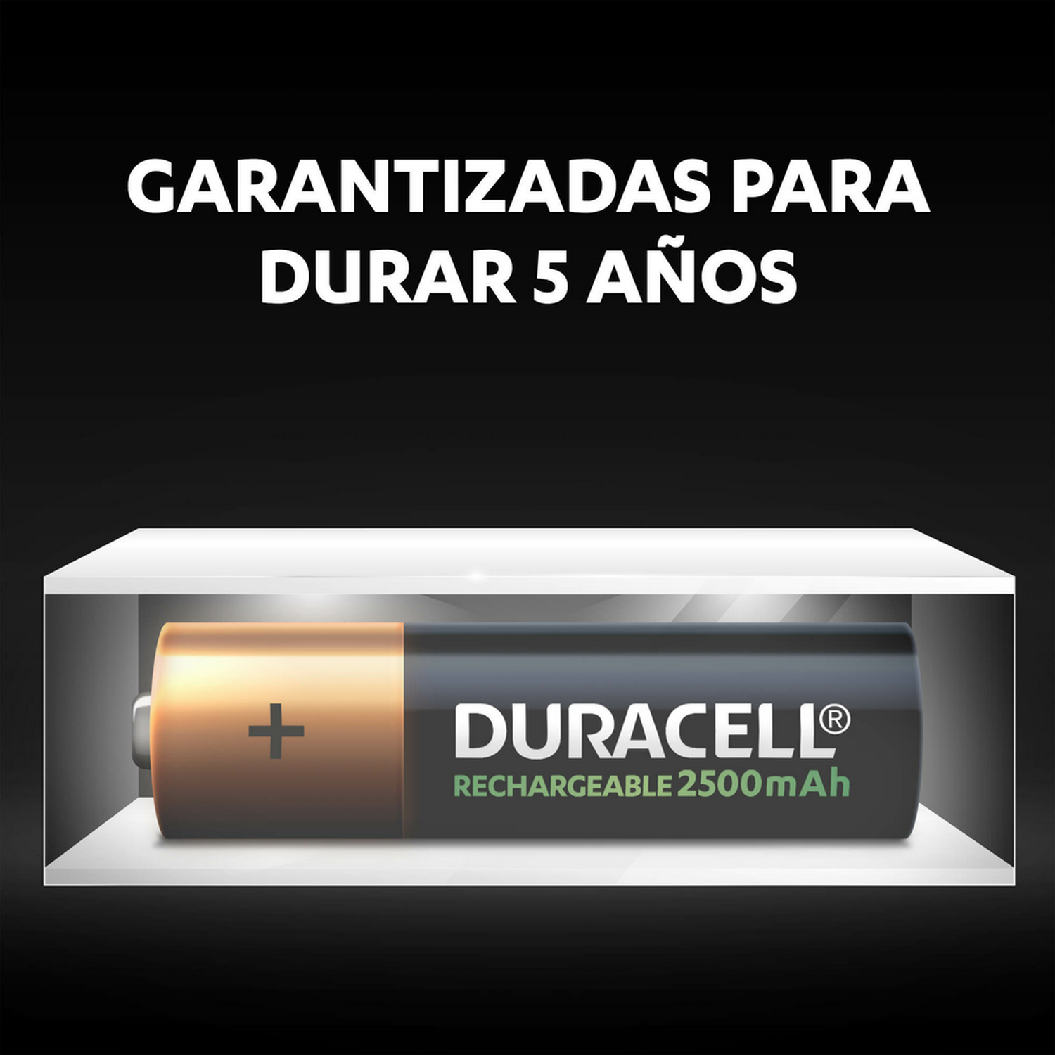 Pila Duracell en una caja transparente. Texto 'Garantizado por 5 años'.