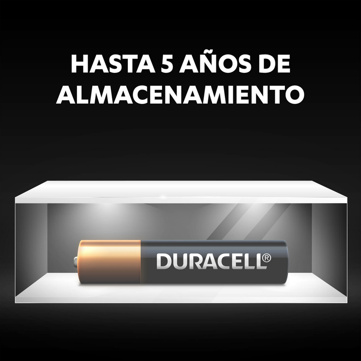 Pila AA Duracell en una estantería blanca. Texto arriba: 'HASTA 5 AÑOS DE ALMACENAMIENTO'.