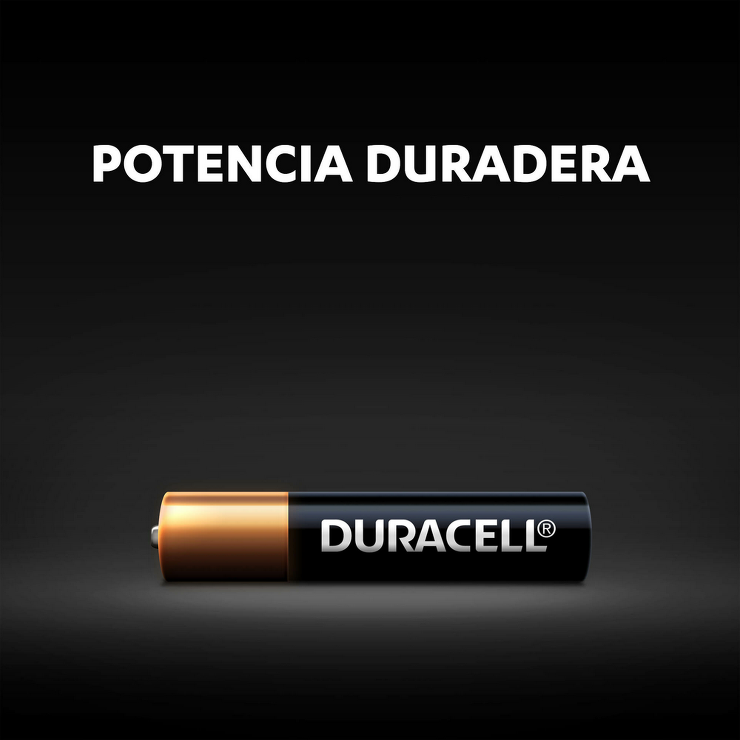 Pila Duracell con texto 'POTENCIA DURADERA' y 'DURACELL' sobre fondo negro.