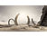 Xbox Series X - Halo Infinite /D/F