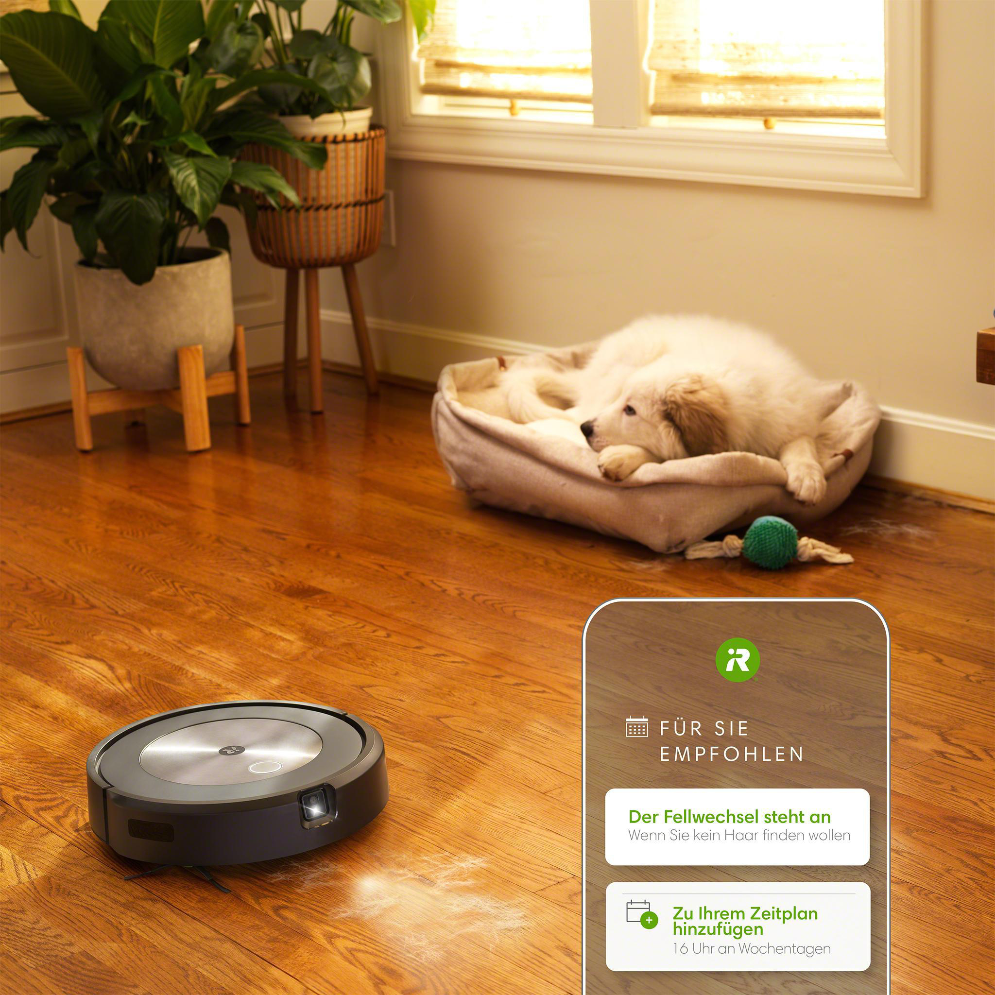 Roboter-Staubsauger auf Parkettboden mit Hund und Pflanzen im Hintergrund.