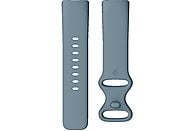 FITBIT Activity tracker Charge 5 Steel Blue Platinum Stainless Steel (FB421SRBU)