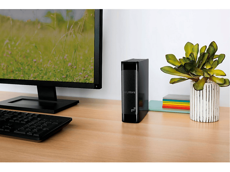 Vista 3