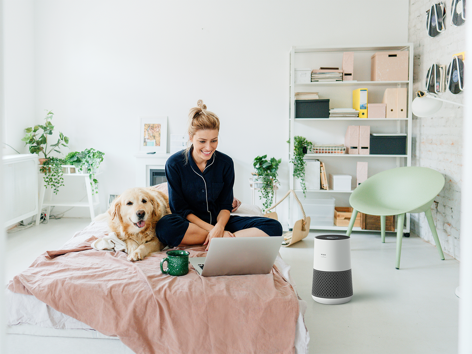 Woman in bed with a laptop and dog, with plants and a air purifier.