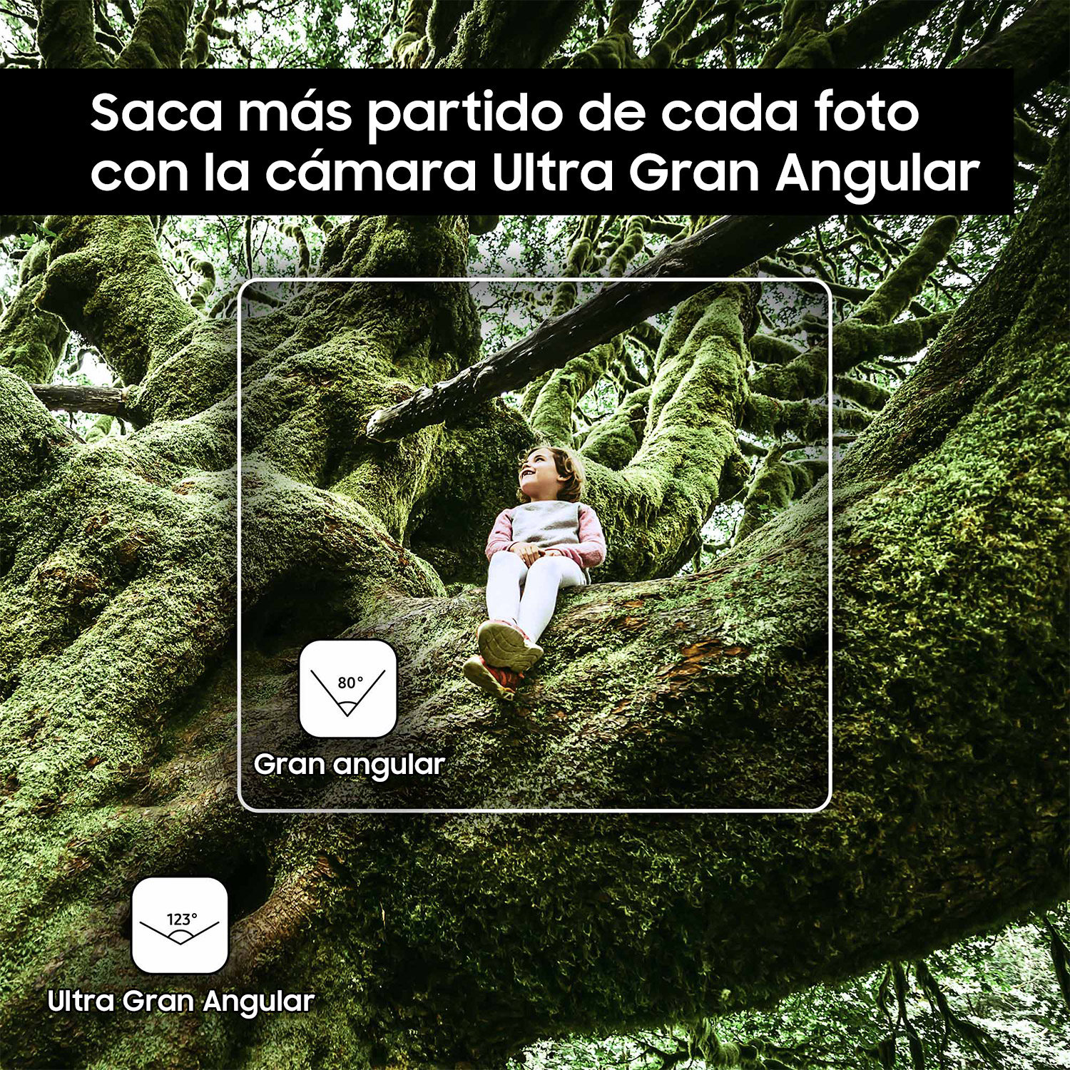 Un niño sentado en una rama musgosa. Musgo verde cubre el árbol.