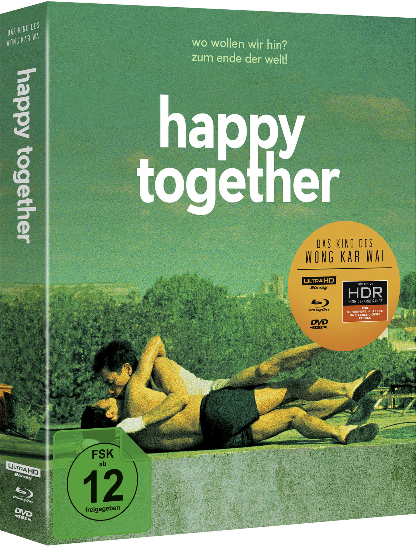 DVD-Cover für 'Happy Together'. Zwei Männer umarmen sich auf einem Dach. Grüner Hintergrund.