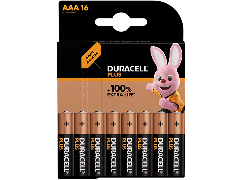 Batterie Ministilo AAA Duracell Plus 100 16 PZ