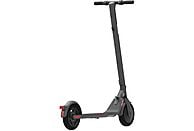 SEGWAY Trottinette électrique Ninebot Kickscooter E25E (903799)