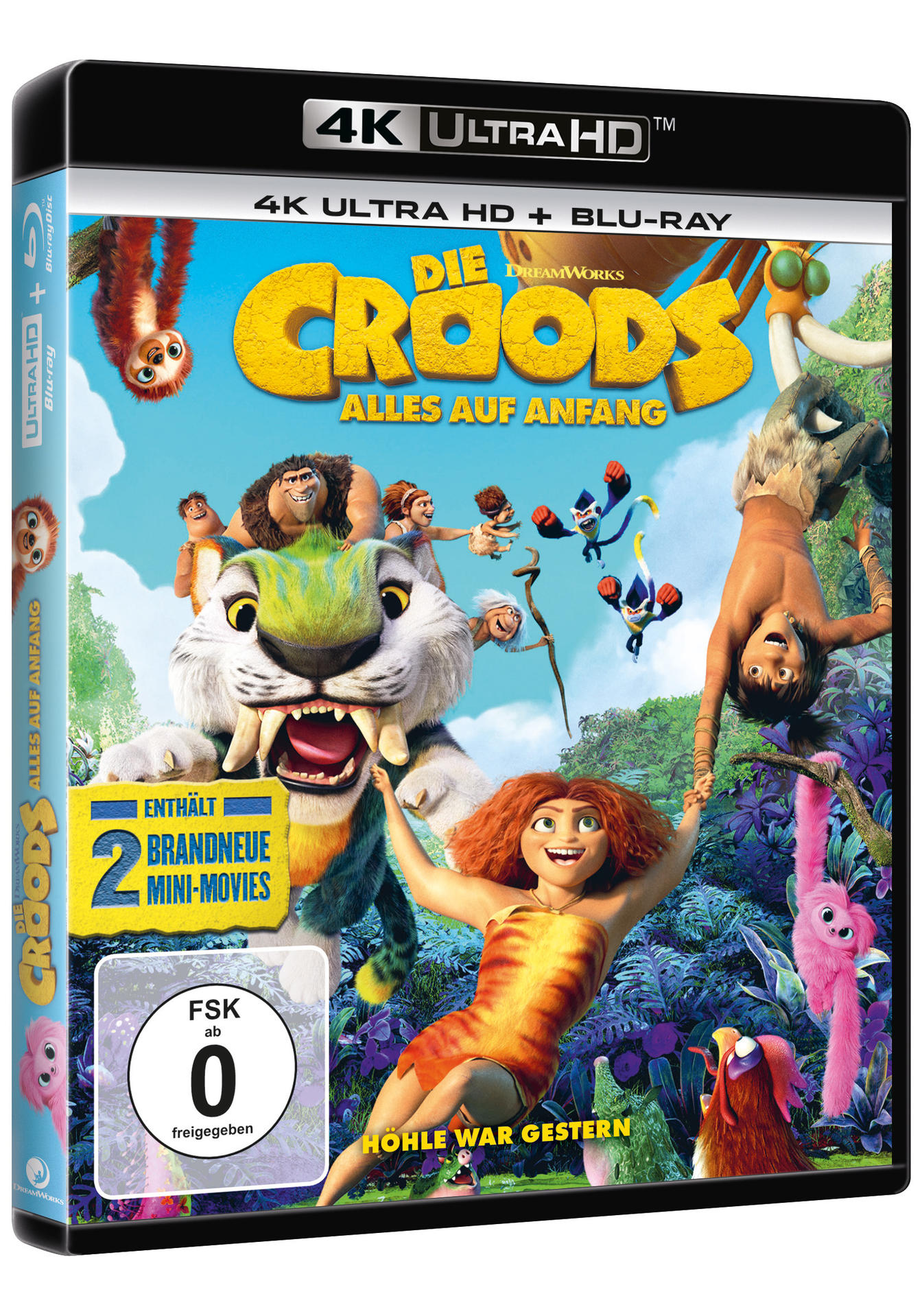 DVD-Hülle für den Animationsfilm 'Die Croods'. Buntes Cover mit Figuren und Titel.
