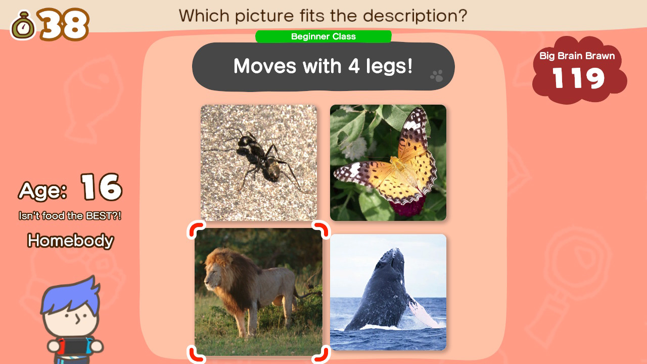 Écran de jeu : quatre images, demandant quel animal se déplace avec 4 pattes.