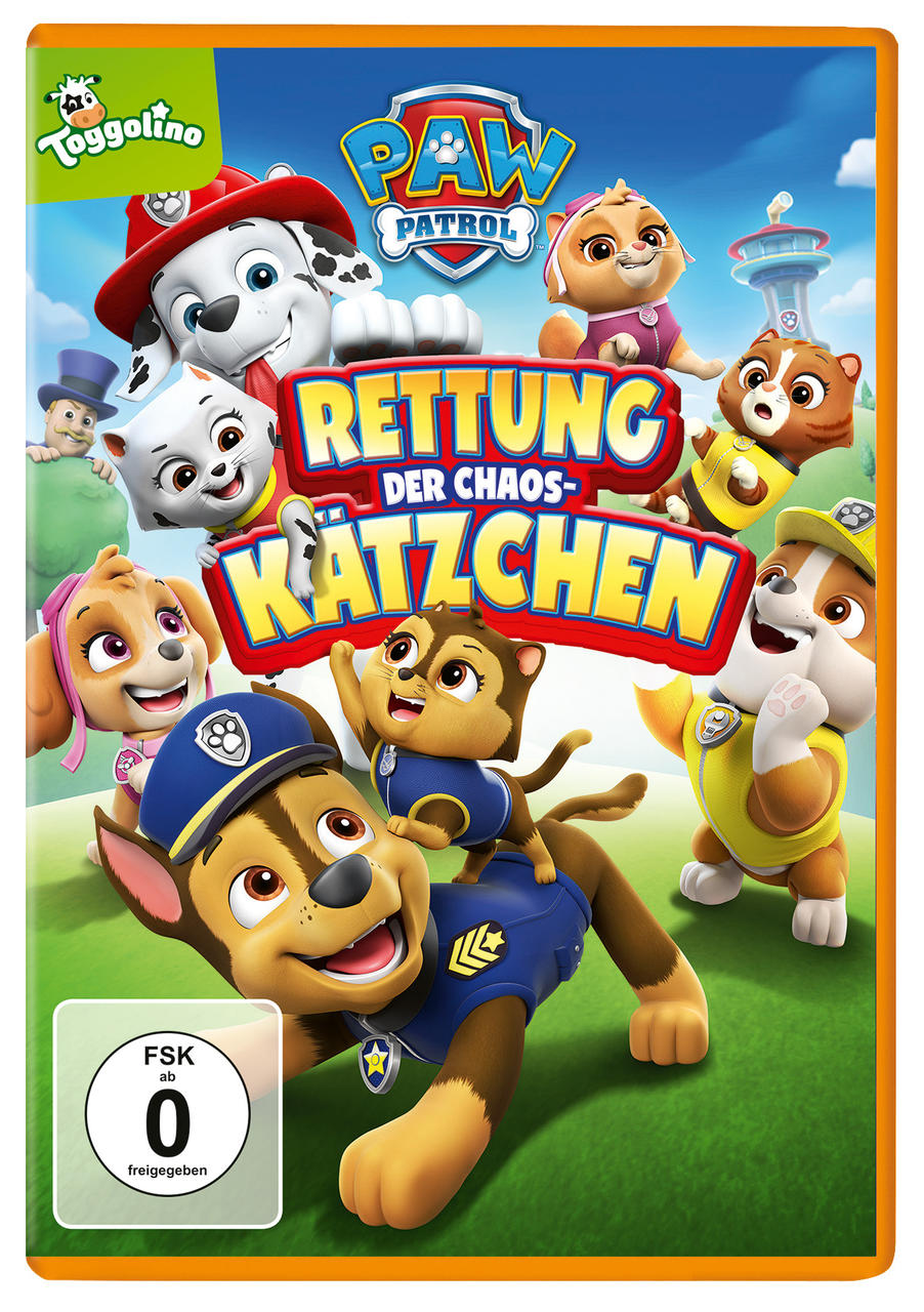 DVD-Cover des Paw Patrol-Animationsfilms mit mehreren Zeichentrickfiguren.