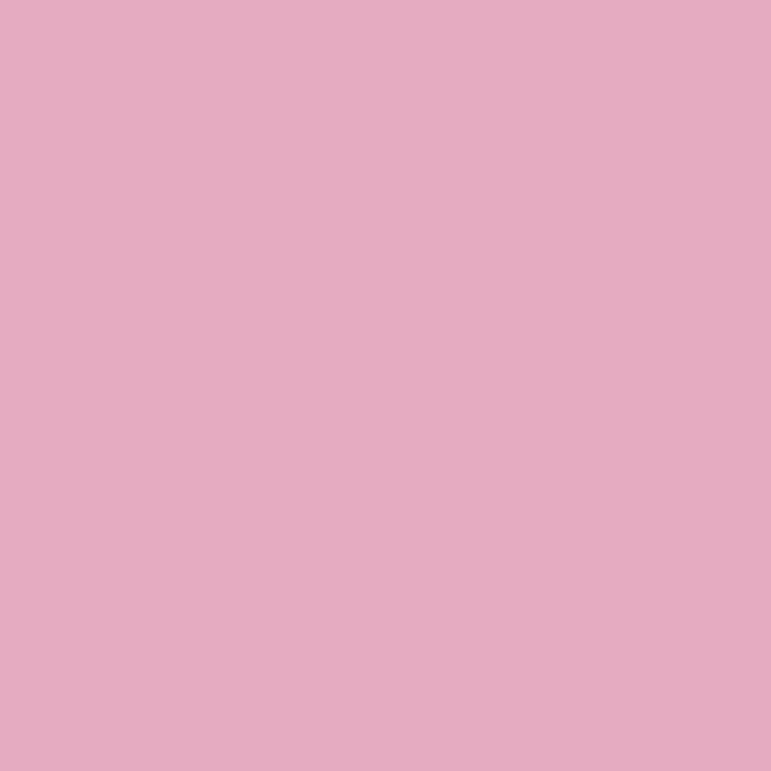 Einfarbiger rosa Hintergrund füllt den Rahmen. Die Farbe ist ein heller, warmer Rosaton.