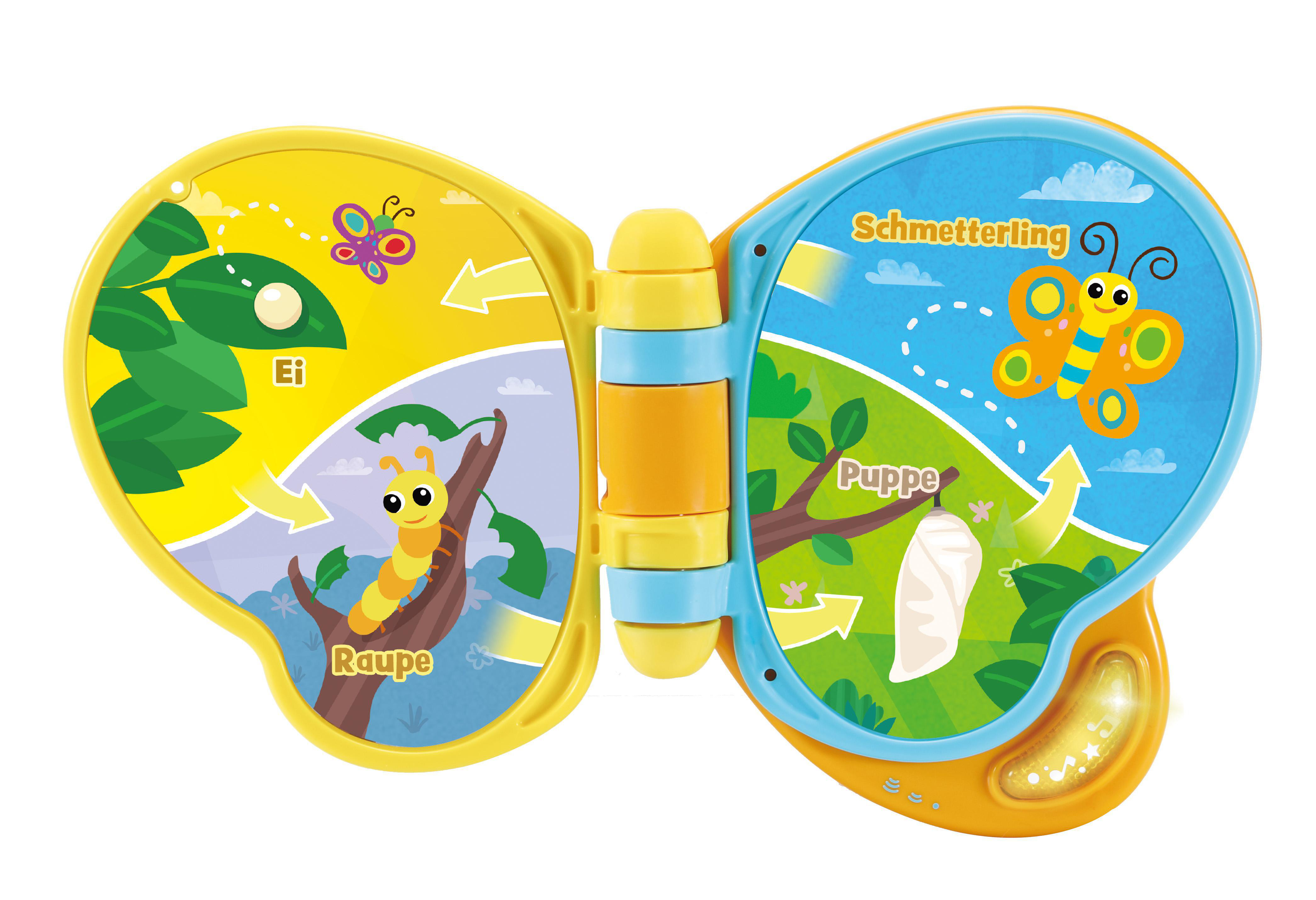 VTECH 2-in-1-Schmetterling Nachziehspielzeug, Mehrfarbig