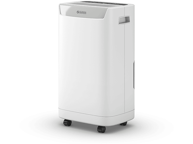 Deumidificatore portatile da 1500ML piccolo Air Dyer di grande capacità per  interni essiccatore di umidità purificazione