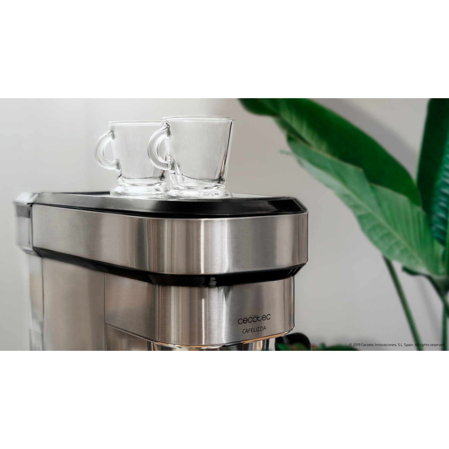 Una cafetera plateada y negra con dos tazas de vidrio encima y una planta verde.