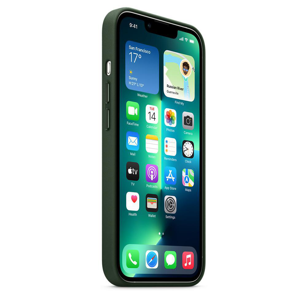APPLE Leder Case mit MagSafe, Backcover, Apple, iPhone 13 Pro, Schwarzgrün