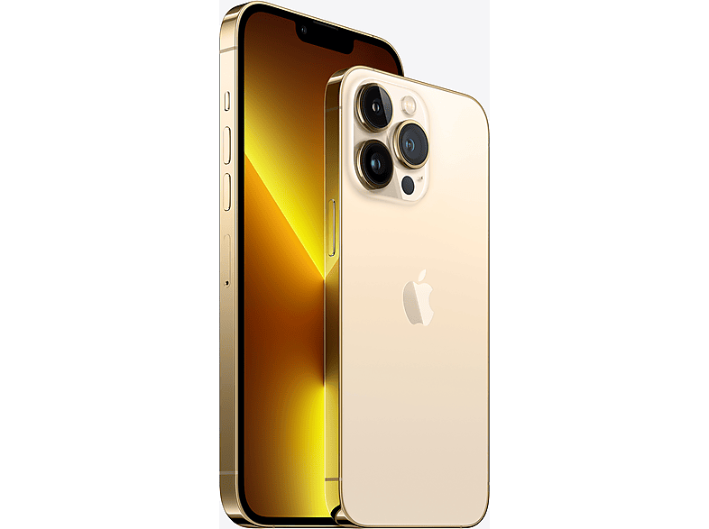 APPLE iPhone 13 Pro 256GB Akıllı Telefon Gold MLVK3TU/A Fiyat