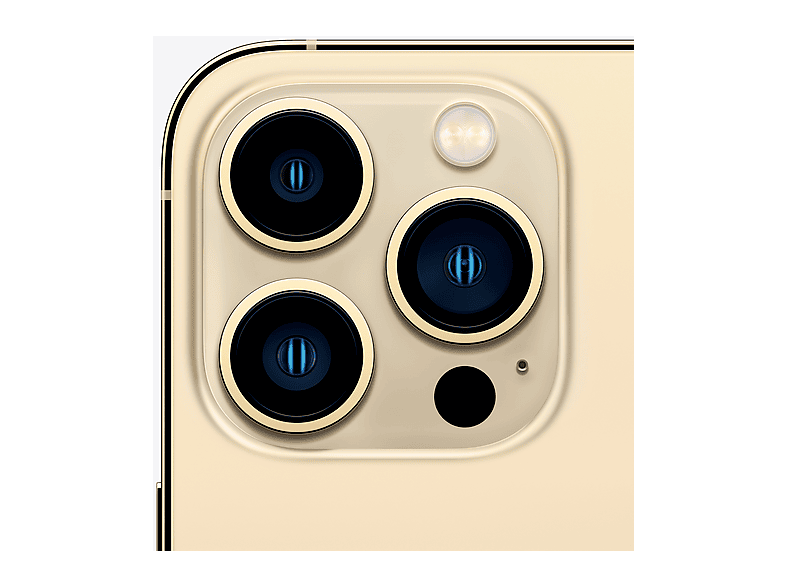 APPLE iPhone 13 Pro Max | Smartphone (6.7