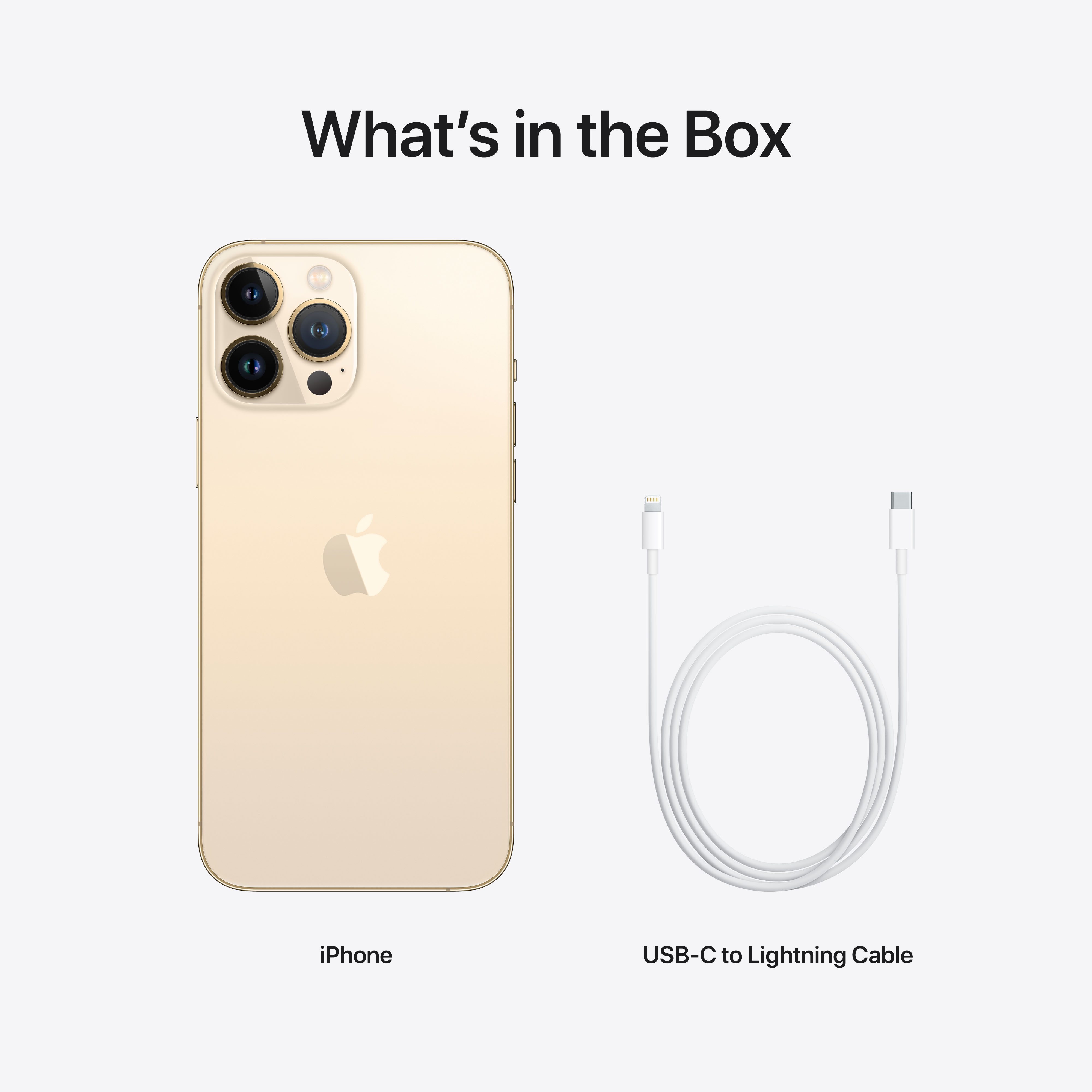 APPLE iPhone 13 Pro Max - Smartphone (6.7 ", 256 GB, Gold)