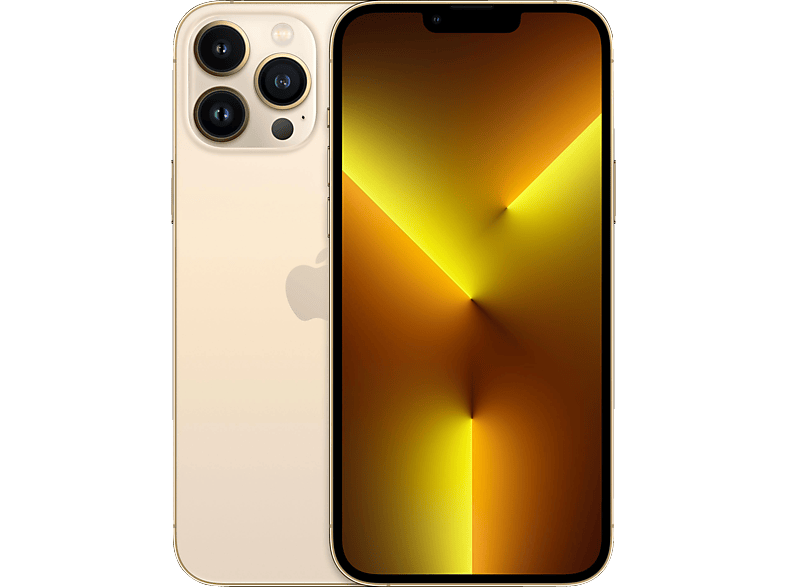 GB Max iPhone 13 Pro 256 Gold Dual SIM APPLE