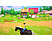 Horse Club Adventures - Nintendo Switch - Allemand