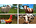 Landwirtschafts-Simulator: Nintendo Switch Edition - Nintendo Switch - Allemand