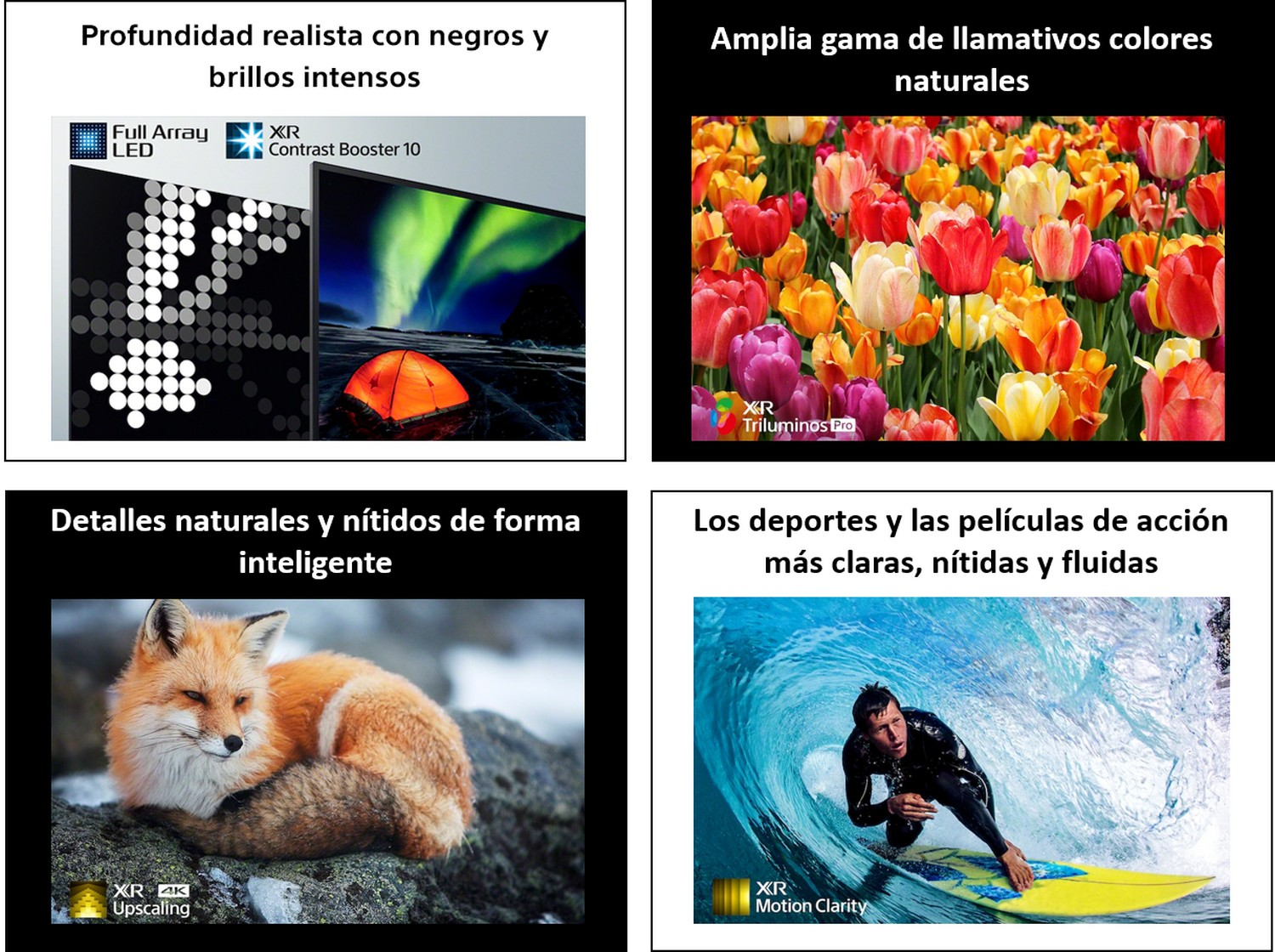 Un collage de imágenes que muestran una pantalla de TV, flores, un zorro y un surfista, cada uno con texto descriptivo.