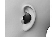 SONY WF-C500 - Draadloze oordopjes - Zwart