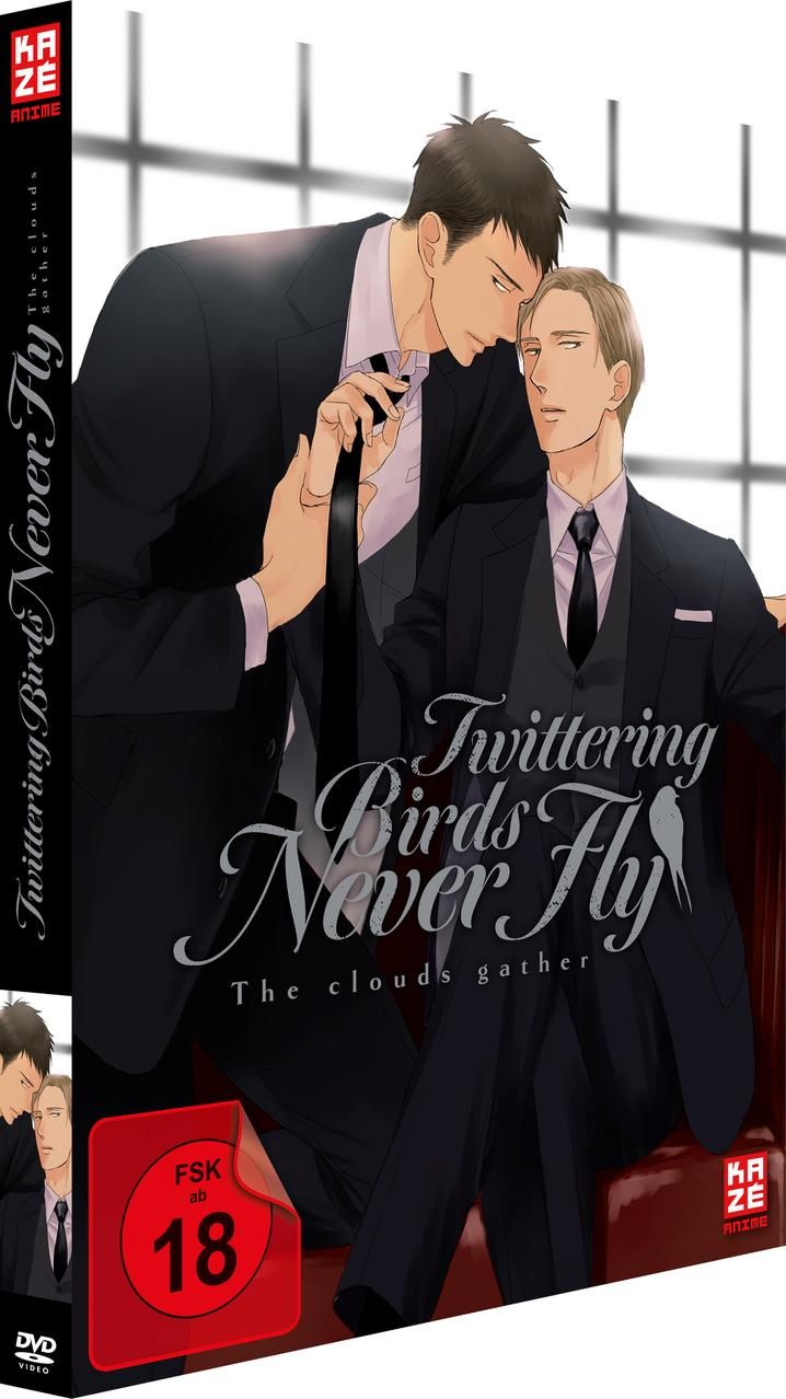 DVD-Cover von zwei Männern in Anzügen, die sich umarmen. Text: 'Twittering Birds Never Fly'.