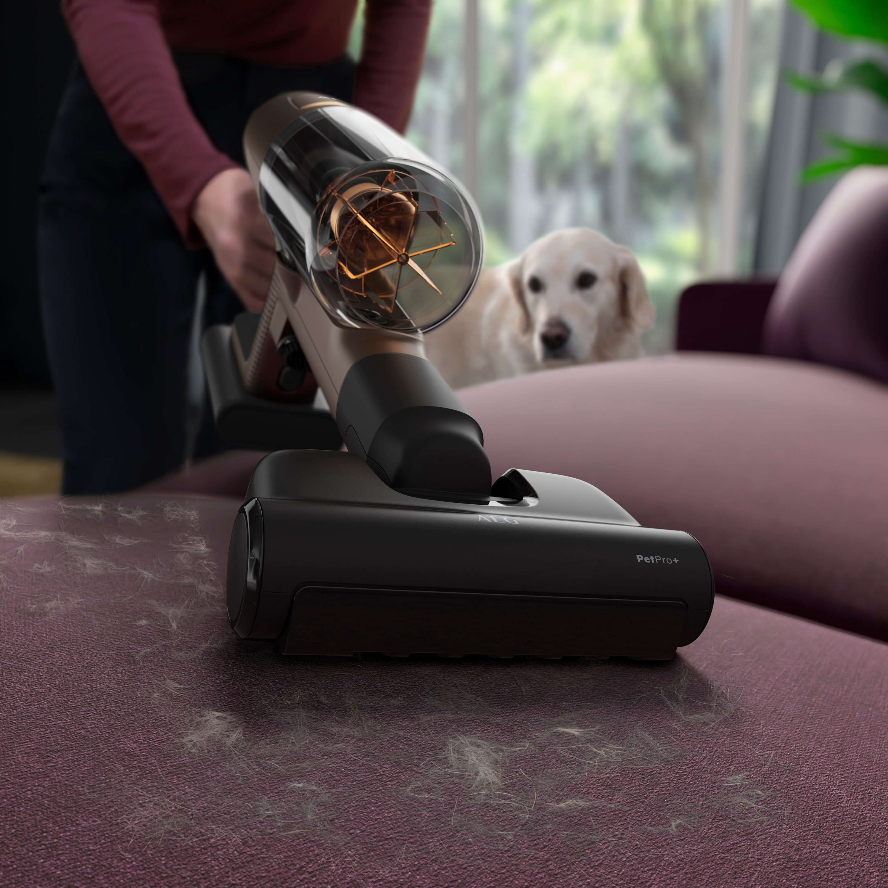 Ein Staubsauger wird auf einem Sofa verwendet, im Hintergrund ein Hund. Sichtbare Tierhaare.