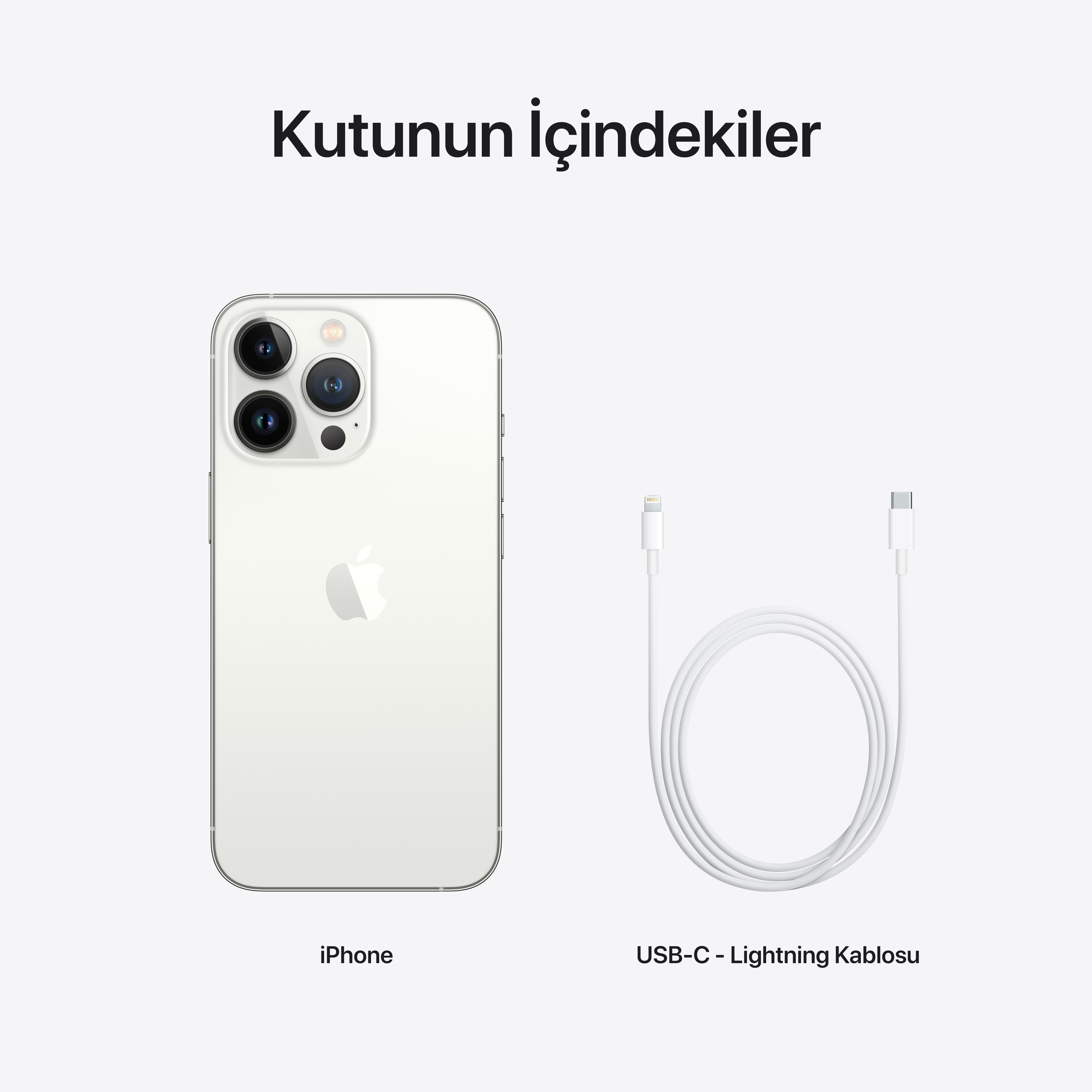 APPLE iPhone 13 Pro 1 TB Akıllı Telefon Silver MLVW3TU/A Fiyat
