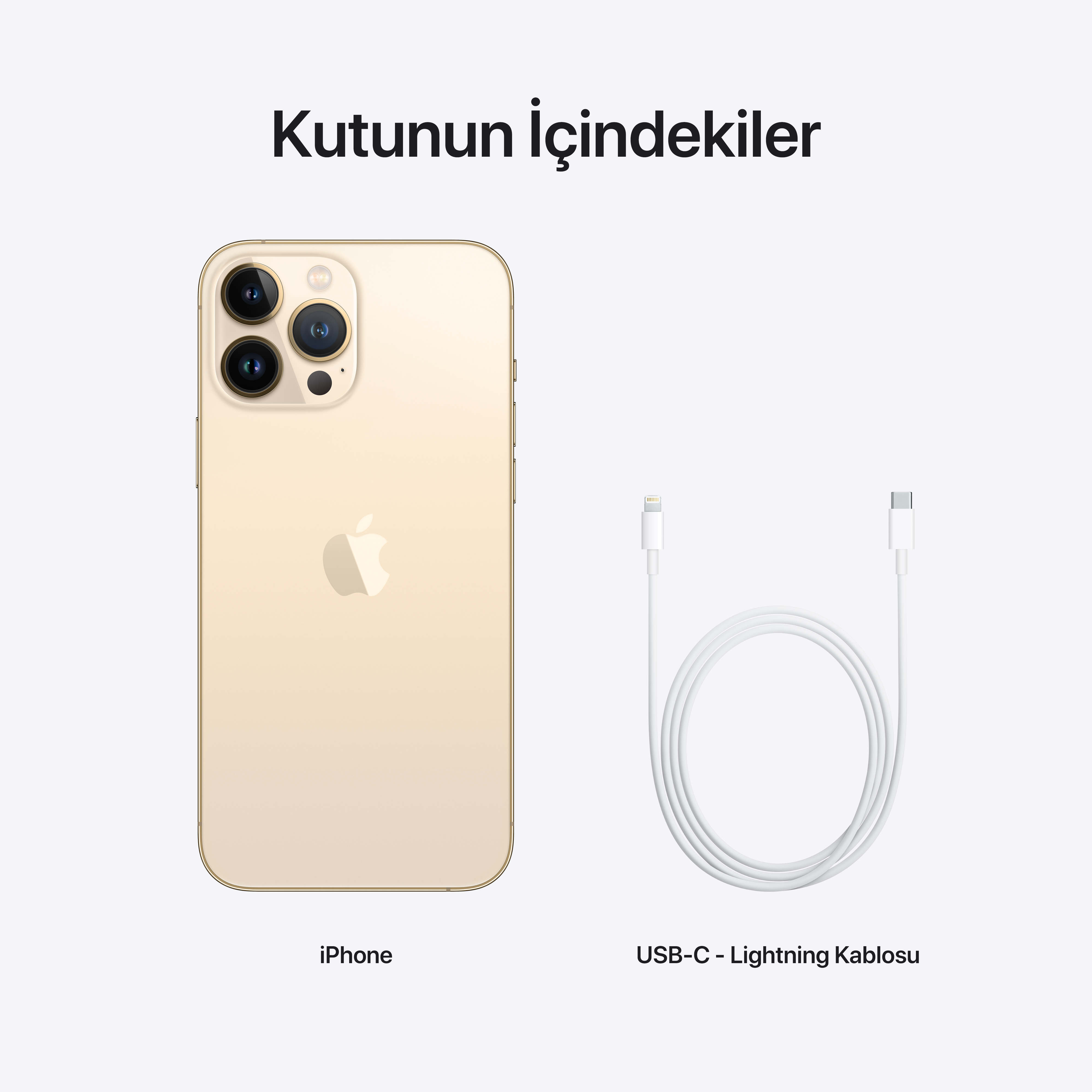 APPLE iPhone 13 Pro Max 256 GB Akıllı Telefon Gold MLLD3TU/A Fiyat